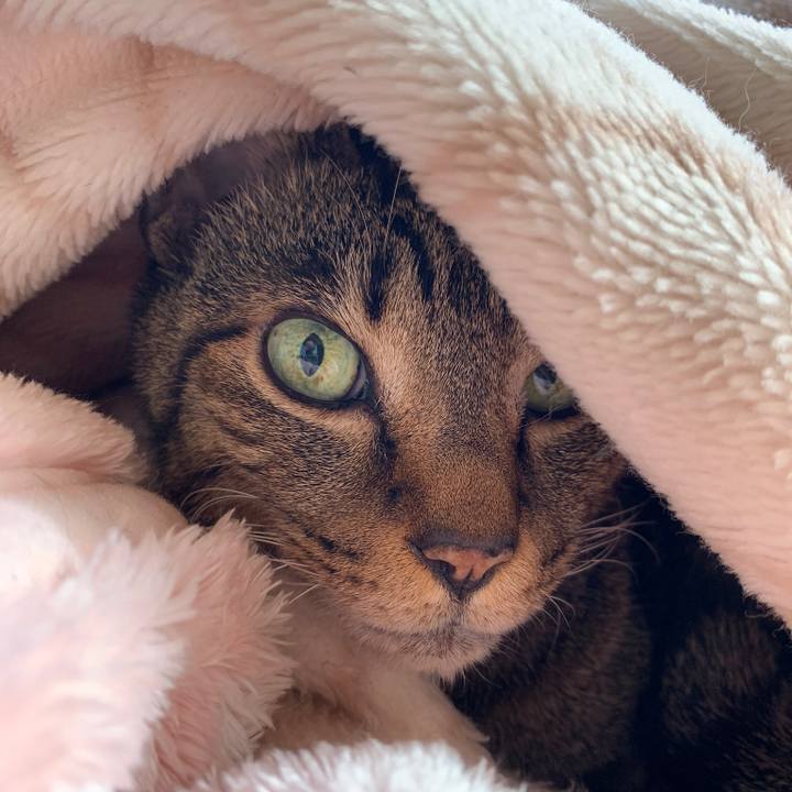 D53a6e6b e5d6 4ac4 b4f5 71f34c0f4559 1579051263568