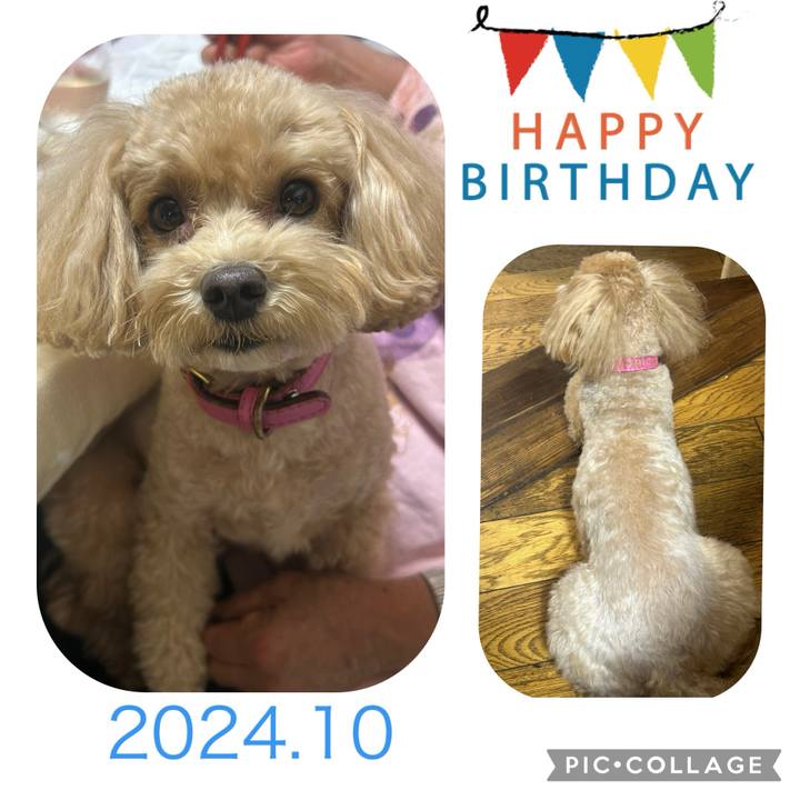 D53aa186 f794 48dc 9365 5f8144b16a30 1728924837115