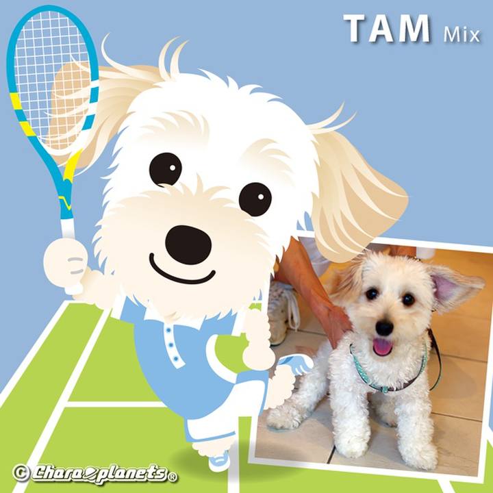 D53abb51 b888 4d21 9c81 3b4ffef7b8e1 1559364444341