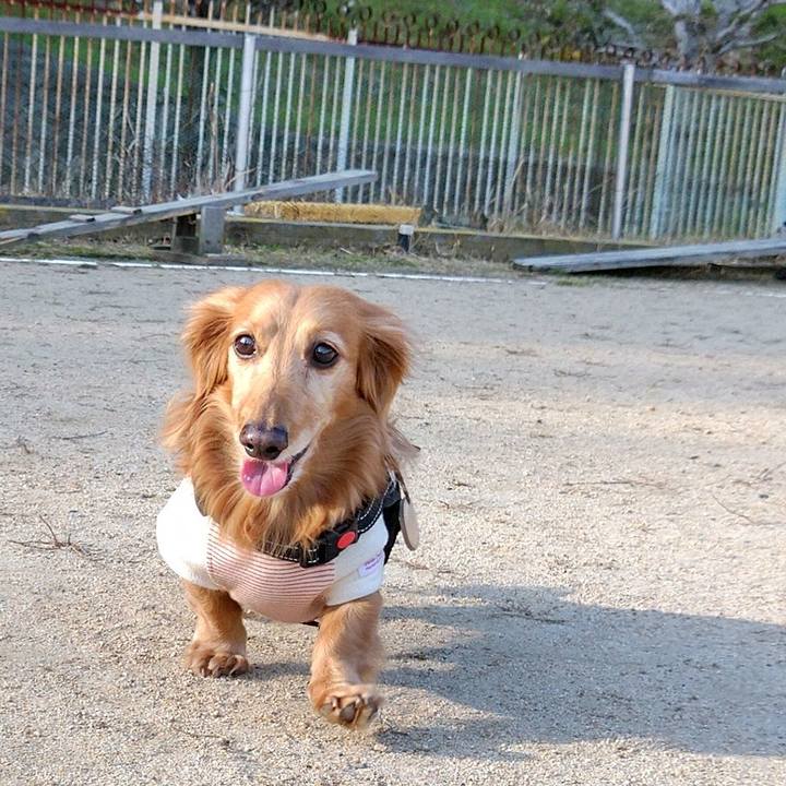 D53adde9 f105 4c5a 9c99 789553317f3c 1710590999853