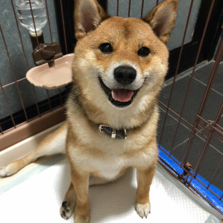 D53afdaf e8a8 4bad 9136 0c811fd00b51 1529708477579