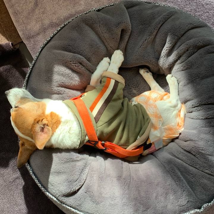 D53afffe c852 474b 9892 e8c8efa66a68 1646628240412