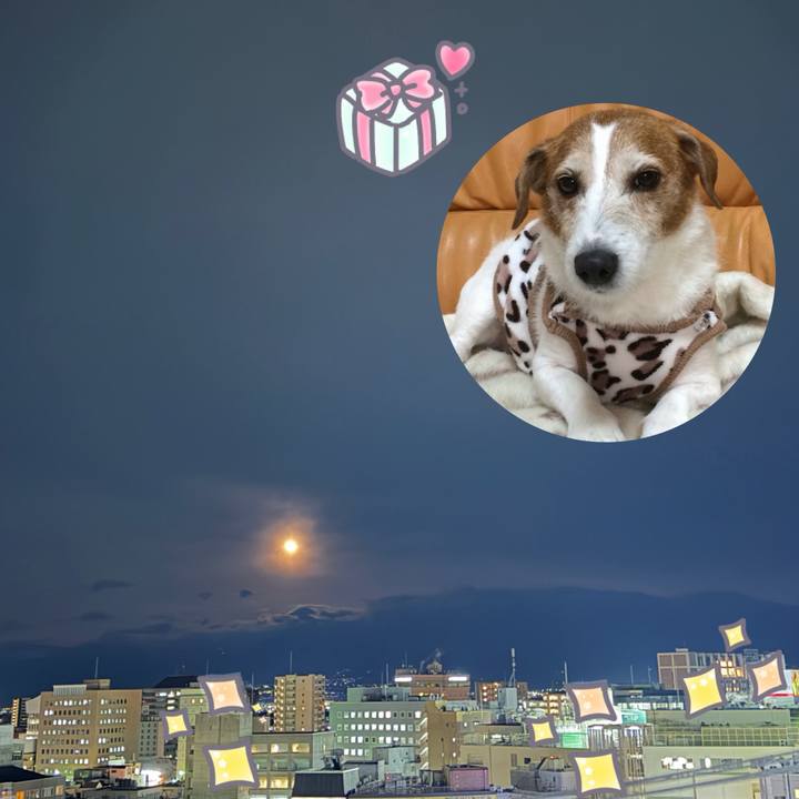 D53b208a 3329 48f6 8378 44d267dcc8ba 1770024631285