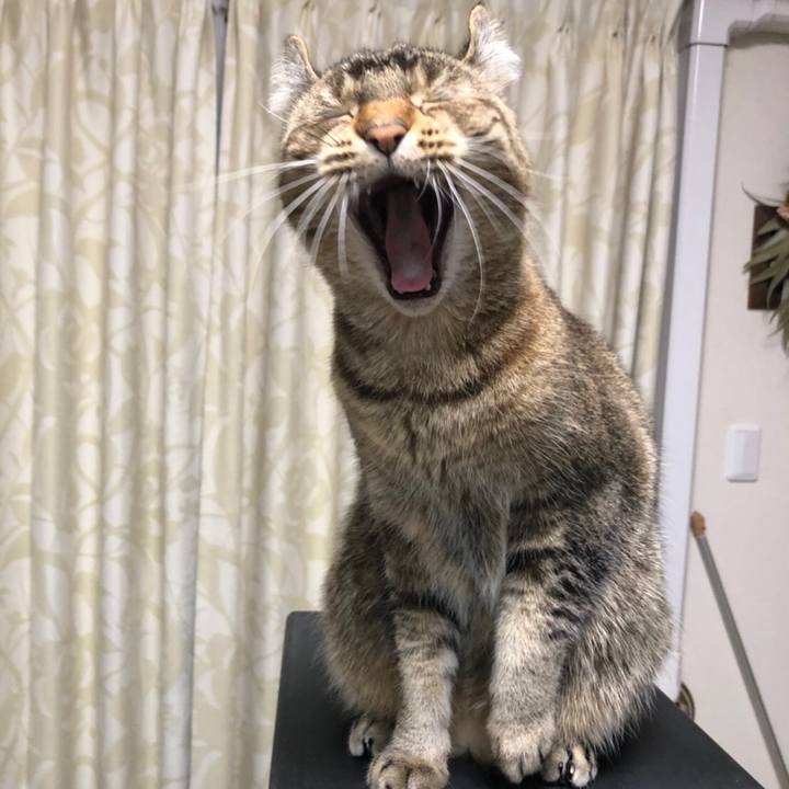 D53b2976 f8c8 4fb7 99b9 c054d4866fbd 1616511841651