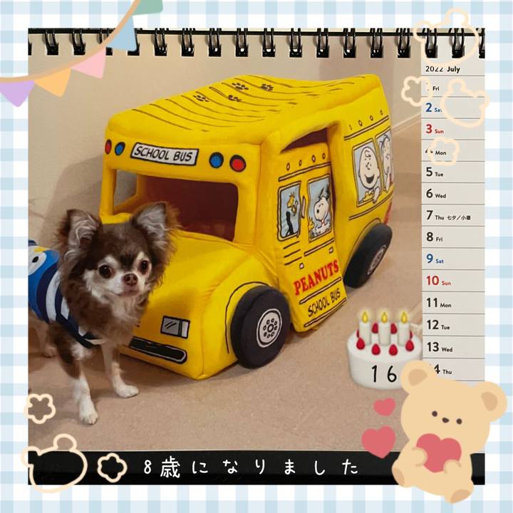 D53b5d74 cc30 4a34 bbe4 8bfe629a6d71 1657944497401