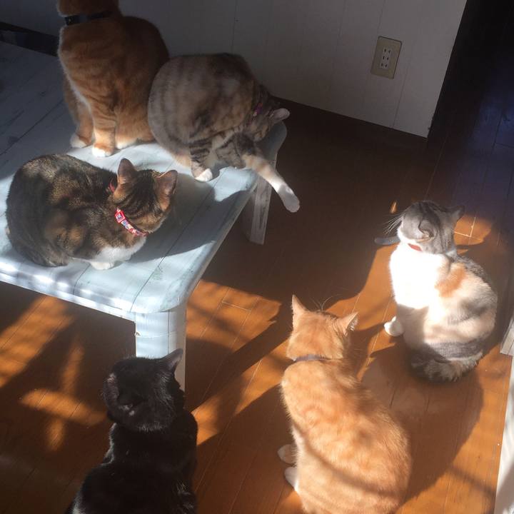 D53b819e fe63 4f0b 918e 2352bab6af8f 1547614110562