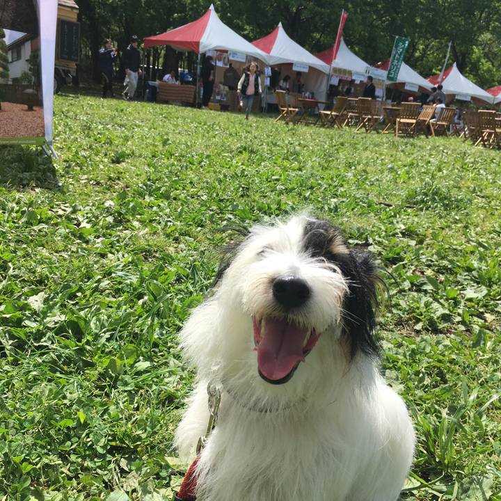 D53b88b4 87f0 4ebd ae8f 72ad66f8d6d0 1523756315004