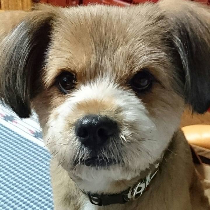 D53bb26d 140c 40b9 a1e1 96e38e273c30 1531053239643