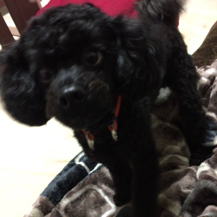 D53bc7ac 7bbc 4e78 99ed 4fa4c9e2e0c8 1510646610484