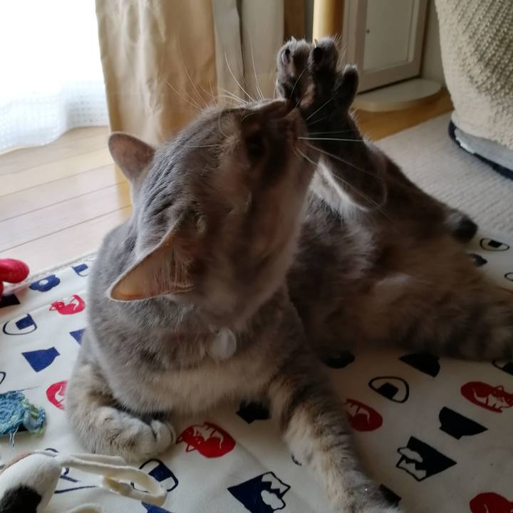 D53bd3c9 9473 4d1a a35e e48edea416d7 1531638192104