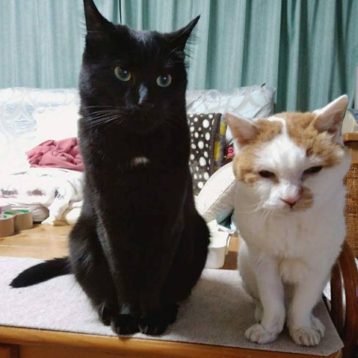 D53bea8e edb9 45de 91a0 4785ece301d7 1635560258145