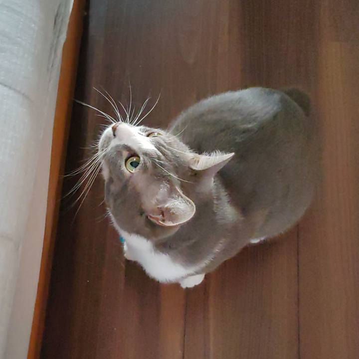 D53bf8cb ede0 4ec0 847d 2a877ace38c6 1661982483604