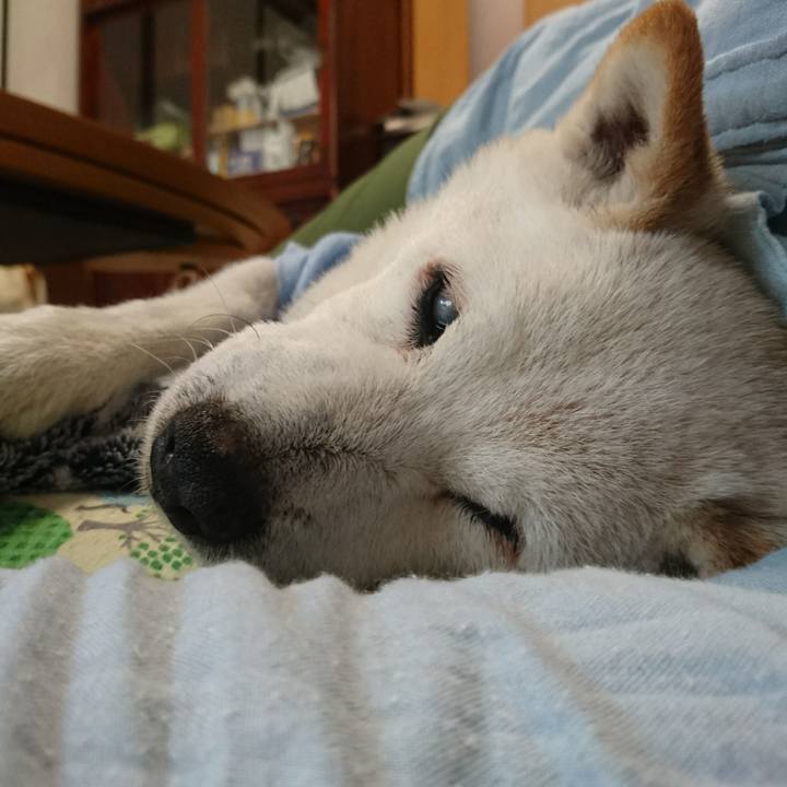 D53c4b11 61fe 40be 8da7 dfb45f6a1bf3 1527467807134