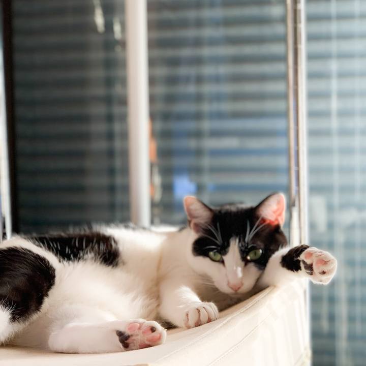 D53c575e 394e 4b7c 8c41 2a46c4174481 1573958535882