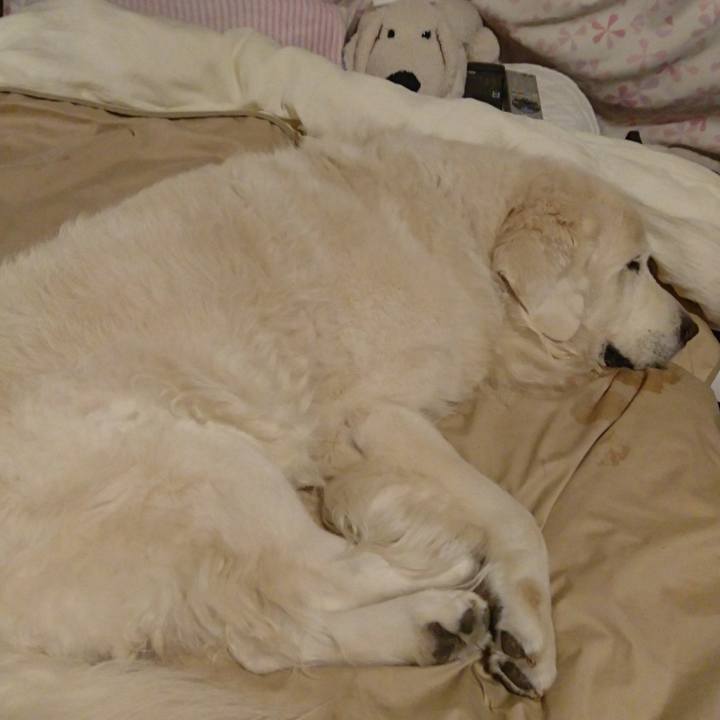 D53c5936 2988 4e0d 9aeb ca58fd24fcf5 1539265483642