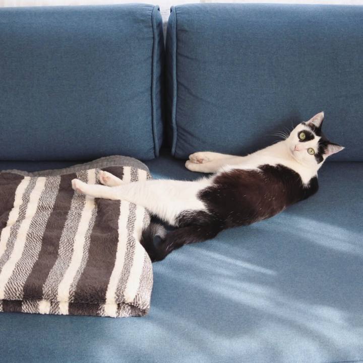 D53c7264 8d98 4567 8fdf 8ae50a3608b8 1525589504334