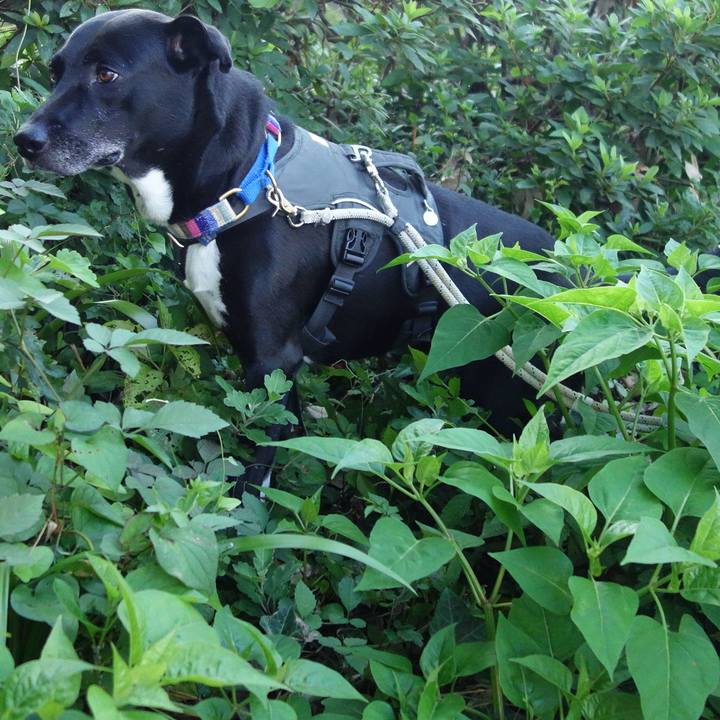 D53c7a29 8e1b 4810 8b6c 3dfbf05f7ad8 1658534772662