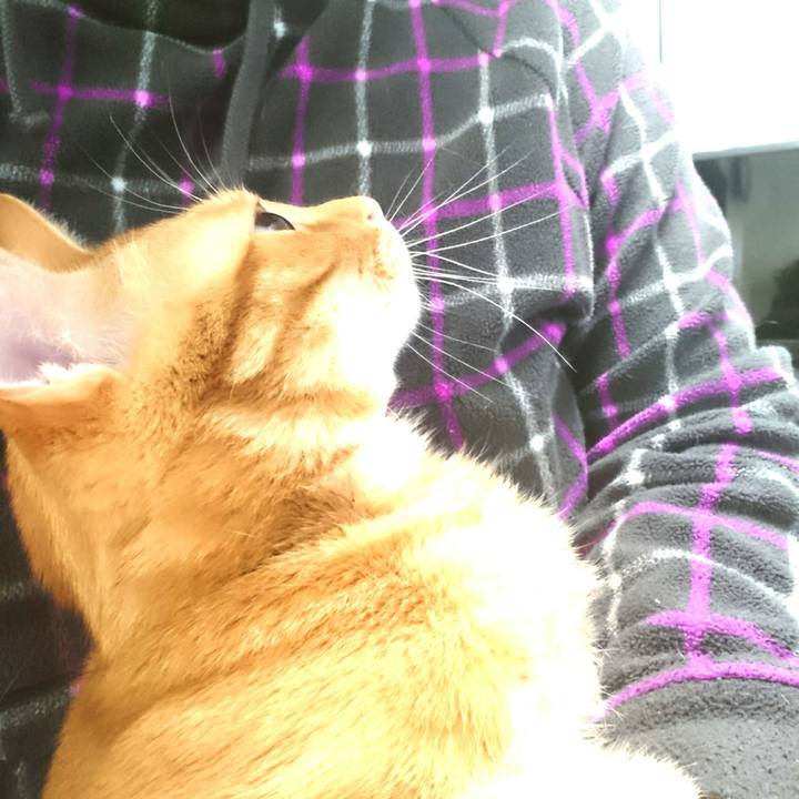 D53ce8e6 0b3d 4d38 980b dce834cd39c3 1521330651729