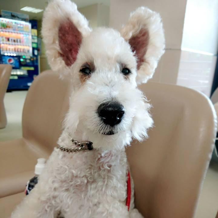 D53d0ef4 03c6 42f0 a209 40fe44e24f8a 1529379709351