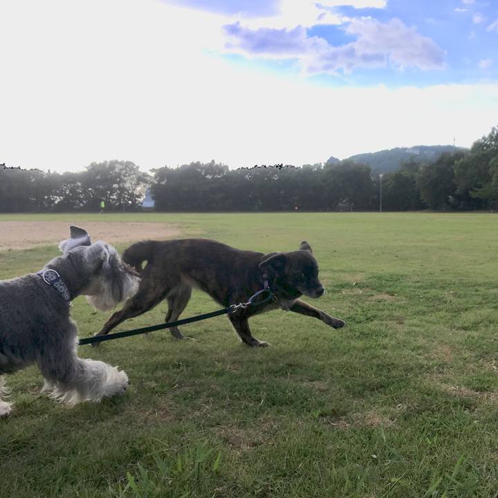 D53d2d4b 679a 4657 a3a6 c699566434c5 1533051938929