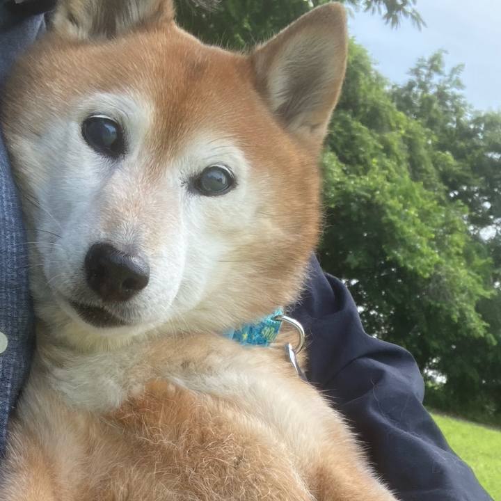 D53d3c4d e4a7 4c27 9dcb 6bd3aec40722 1748482459614