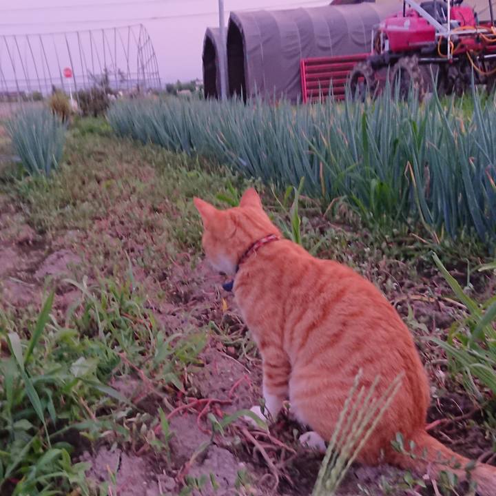 D53d4ffc 30fe 4883 b939 eff8f8ffb930 1564567779172