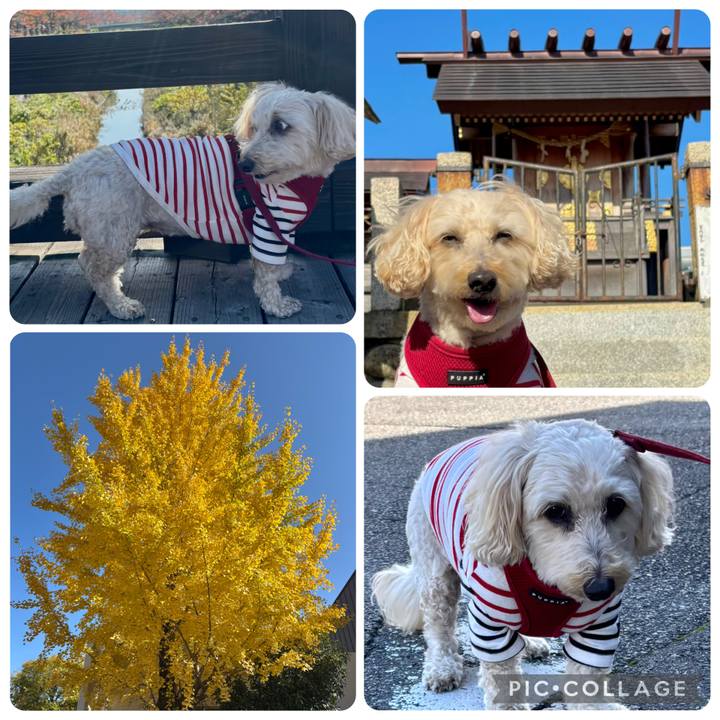 D53d62c6 ede9 40a1 bdce 028776a7de32 1764478269935