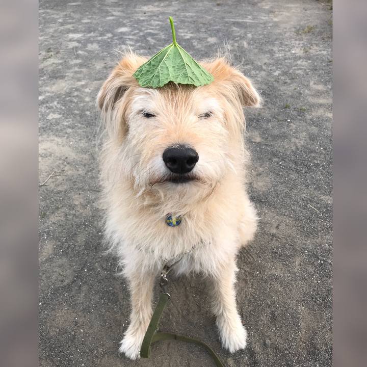 D53d95da ca98 47ab aa2e 0789120c720c 1619256278595