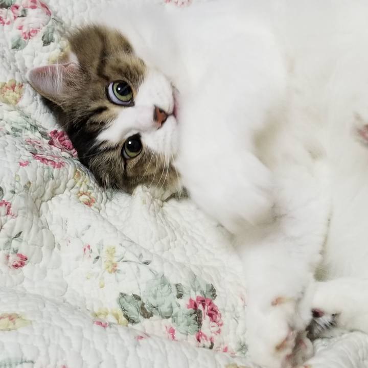 D53da8cd 7b57 4855 ab91 eed492b7f149 1573504611241