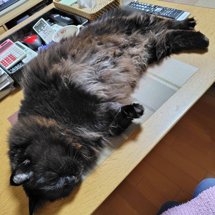 D53db360 334e 42c5 bc45 5fd6a5e371d7 1767784889007