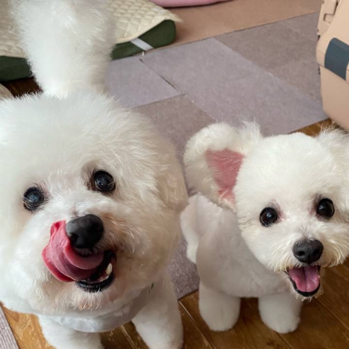 D53df53f aa70 4126 82e6 d580f19060a2 1689744738295