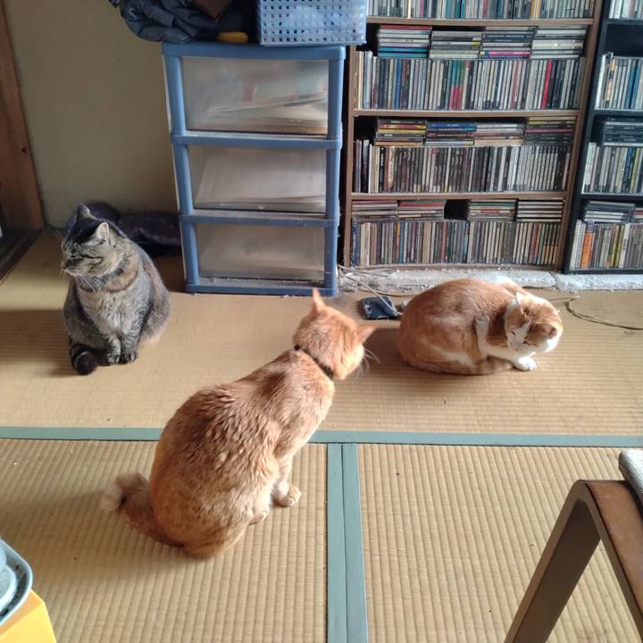 D53e06d5 c8c2 4234 bbbb ba61a45bc5fa 1744670181038