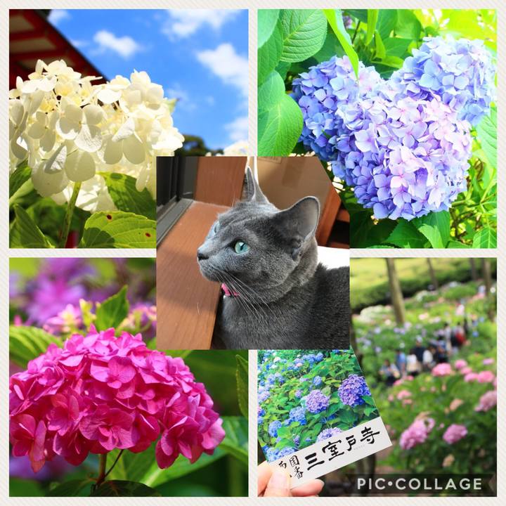 D53e88e2 df2e 4717 af2d 41b2f97ca610 1529232964484