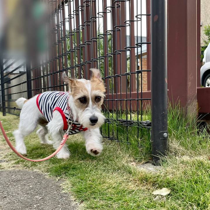 D53eb288 cfdc 4c8b 8fd3 e5fb8ca89419 1627291502304