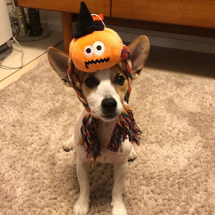 D53ebbdd 5ee3 4f9c aa21 d87033d75623 1572270011142