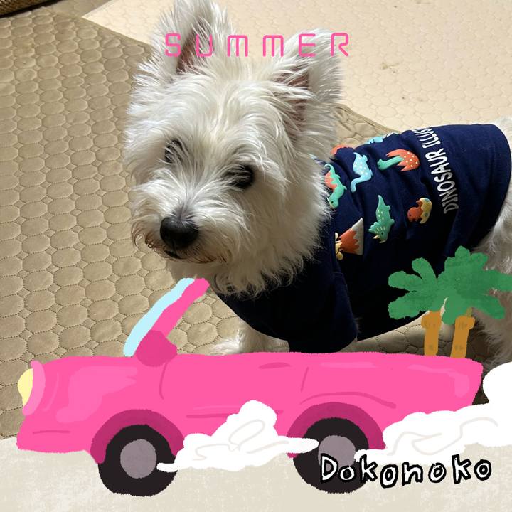 D53ec1ab 1f79 4b91 991d 8ecb2ba42f3c 1783898224481
