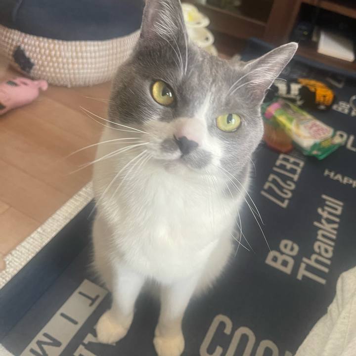 D53eda34 7996 4f35 8a34 9831216a6e37 1711851937023