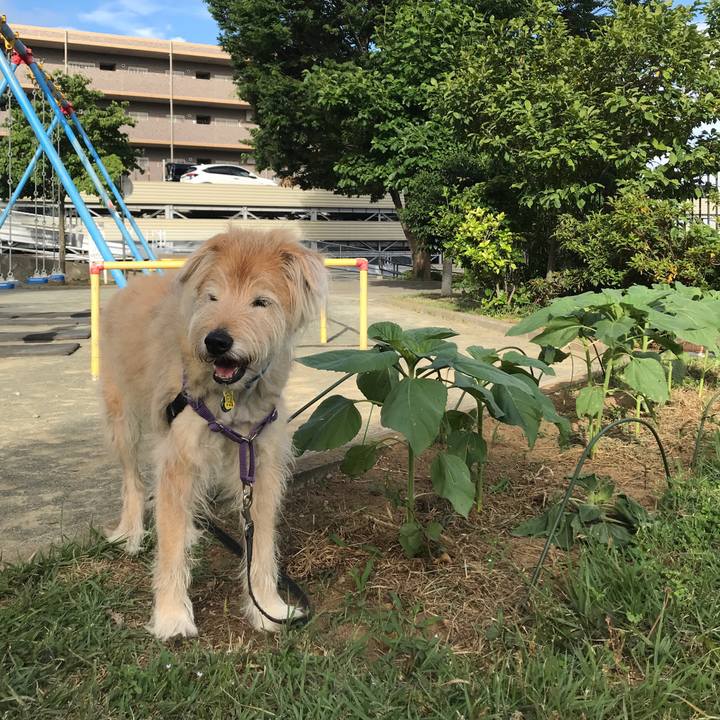 D53edbf1 0f51 4fa8 8648 f8cca7f420ae 1591847749363