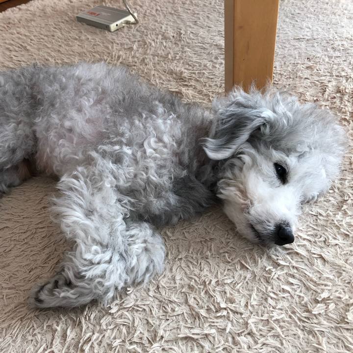 D53eeafd dac1 4b33 9360 1be01092a5f7 1587016812438