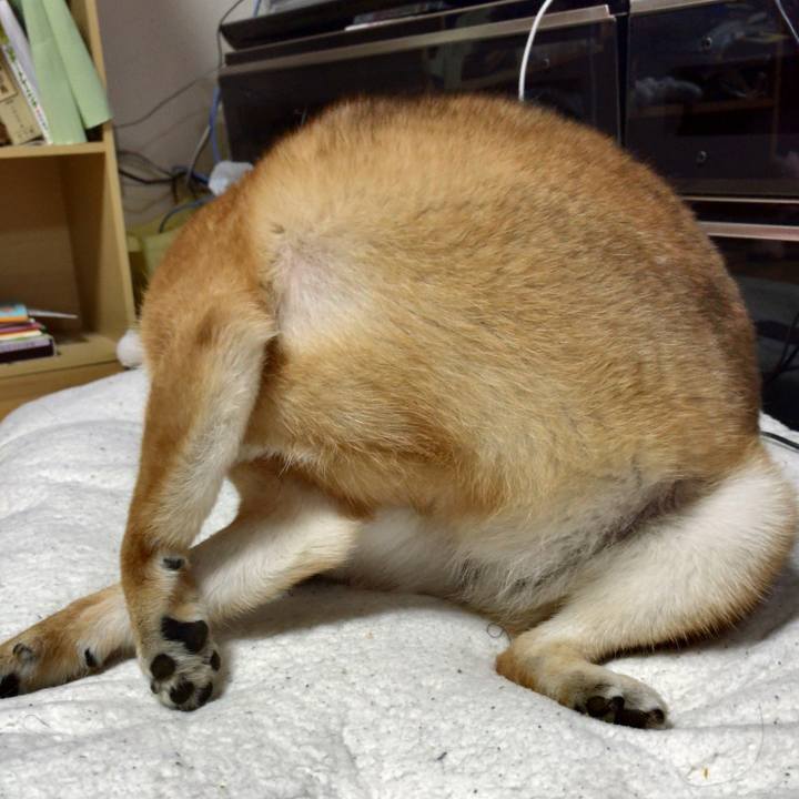 D53ef4c8 000e 4c5b 8dc0 34bdbf562573 1559465479698