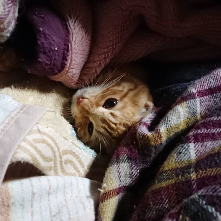 D53ef942 923f 4d73 bc9f 840d4720e6ed 1640993588564