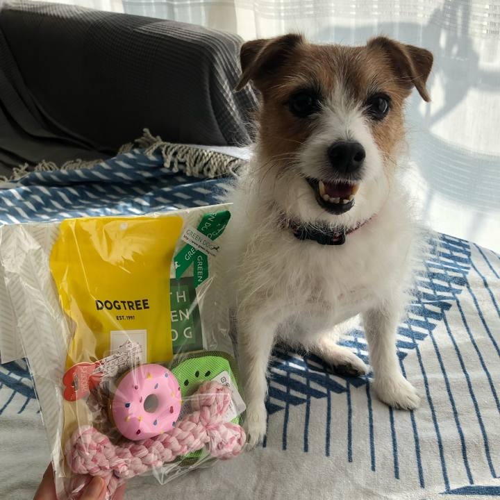 D53f06d6 90dc 45a0 a99c 891e540ddaee 1698410007485