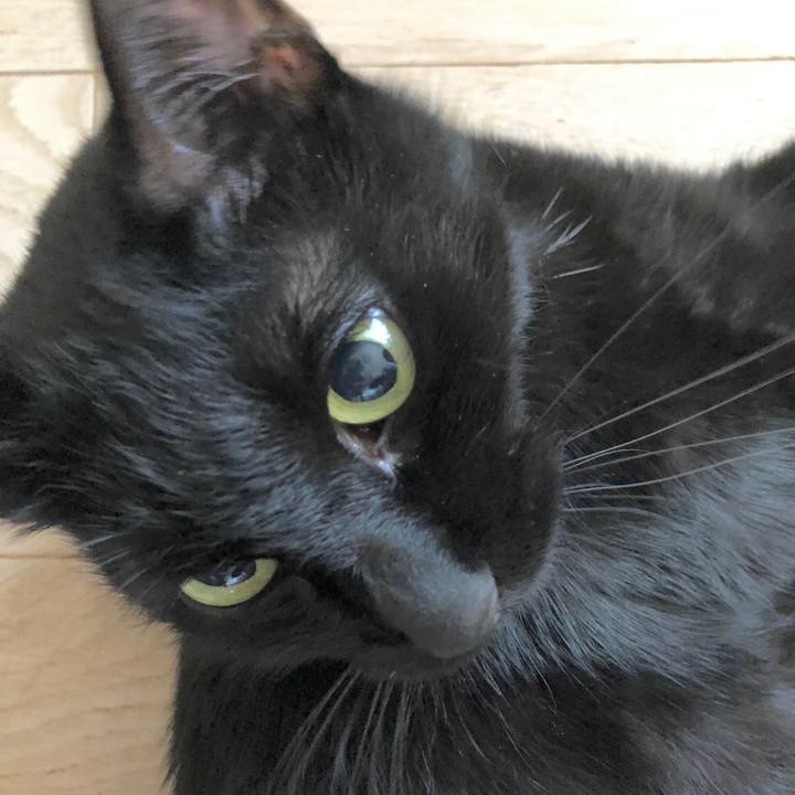 D53f1550 44b7 479b a373 33dd01895f08 1607739457698