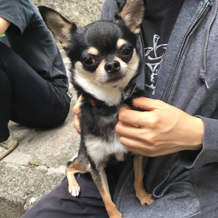 D53f219a 870a 4d81 a49f f632865e27f9 1527065084062