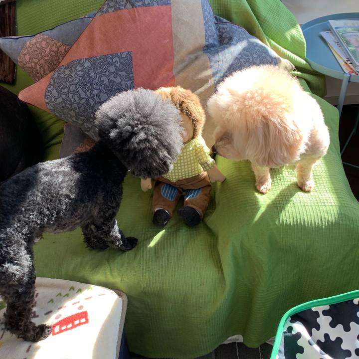 D53f42e5 0175 4cf7 be54 ba78052f78df 1554073215704