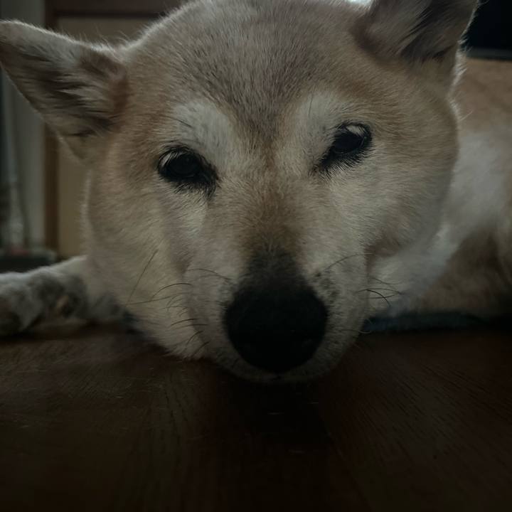 D53f732a 71a4 4bf1 b4f9 64be70064d65 1751623433414