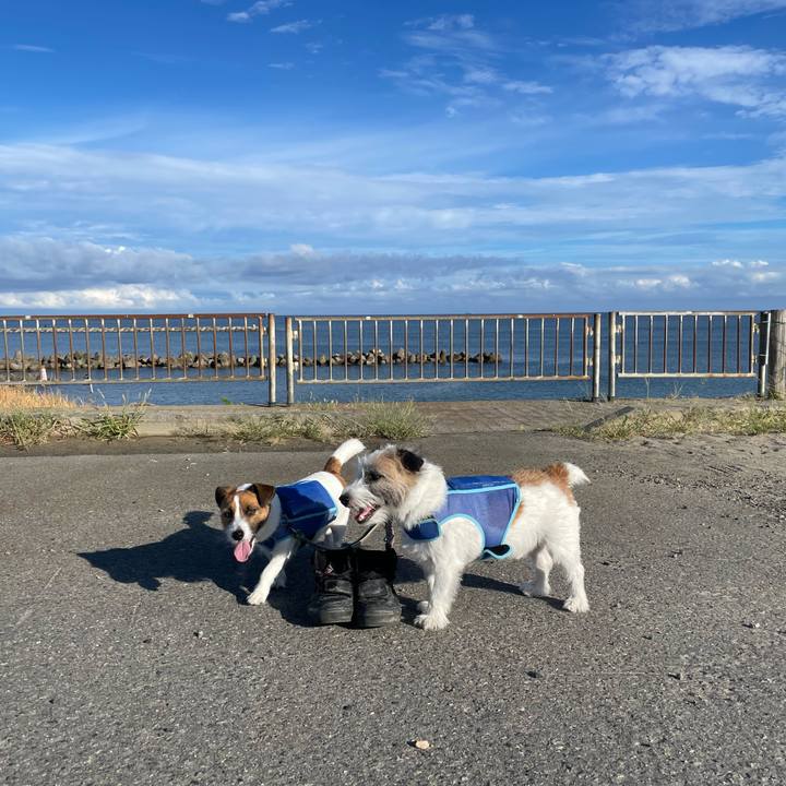 D53fd50d a913 4372 881b 89f1b510d921 1693872078222