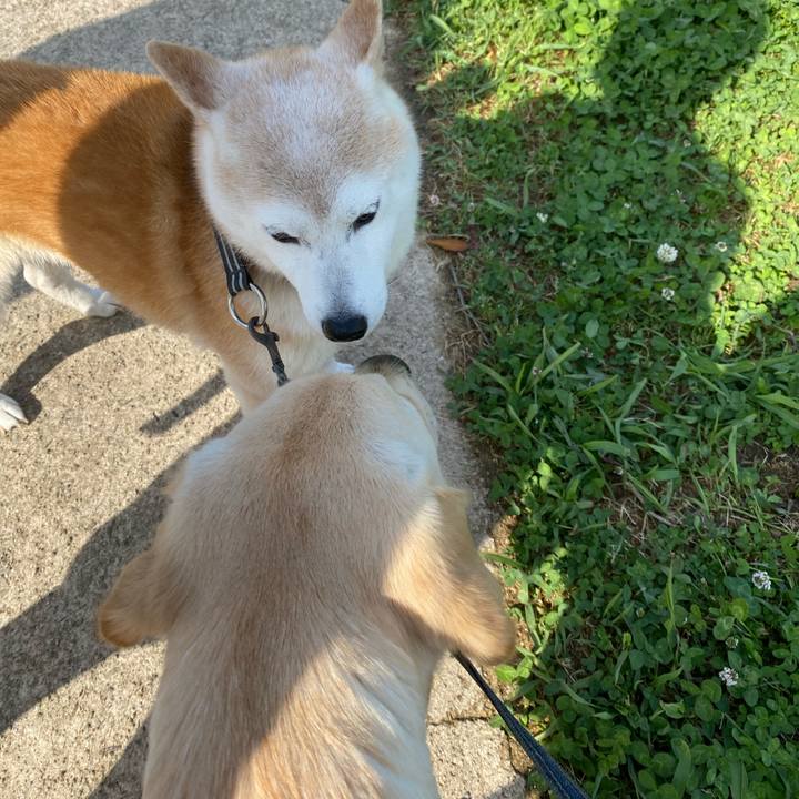 D53ff3d0 0331 4721 8e88 d42679faf93d 1619681608849