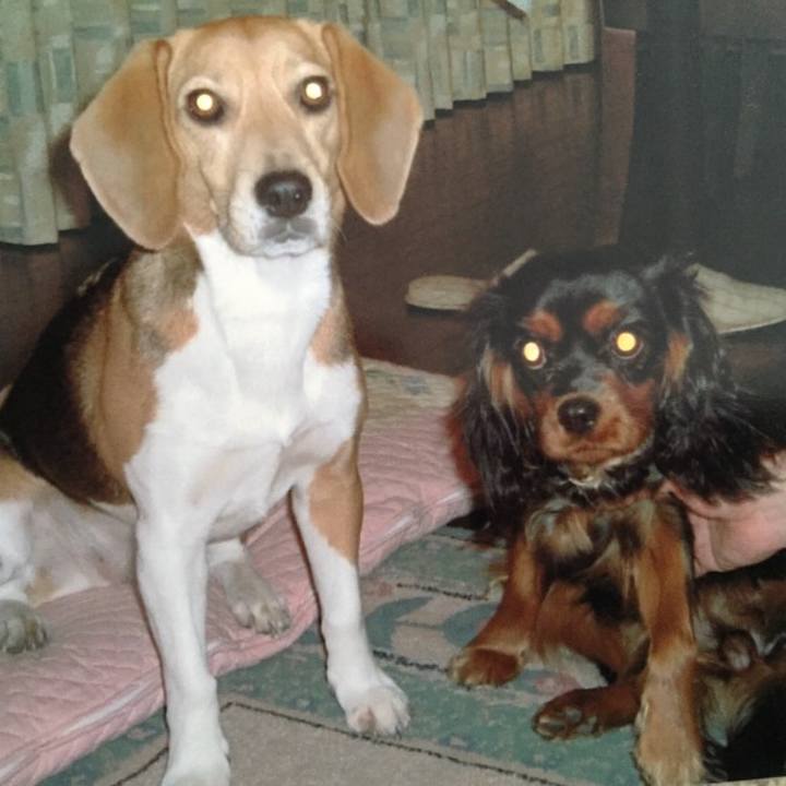 D5402867 d674 4b0c 96ce b53a9f8c8e9b 1564983507677