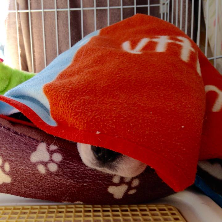 D5407720 3315 438a 94c1 008050a4b2eb 1731973578147